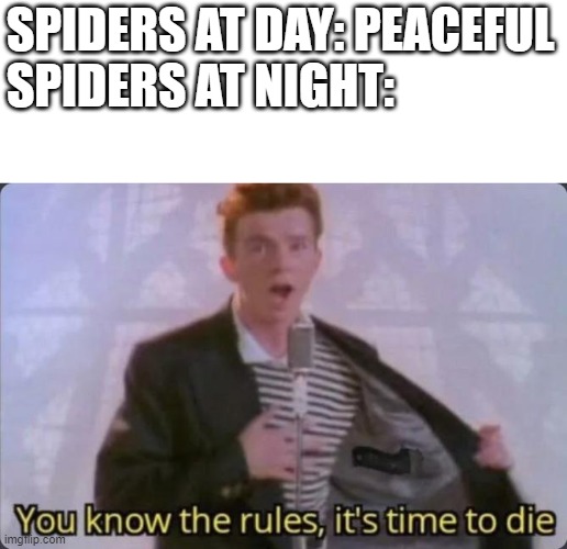 You know the rules, it's time to die | SPIDERS AT DAY: PEACEFUL
SPIDERS AT NIGHT: | image tagged in you know the rules it's time to die | made w/ Imgflip meme maker