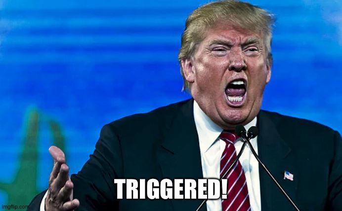 Trump Triggered | TRIGGERED! | image tagged in trump triggered | made w/ Imgflip meme maker