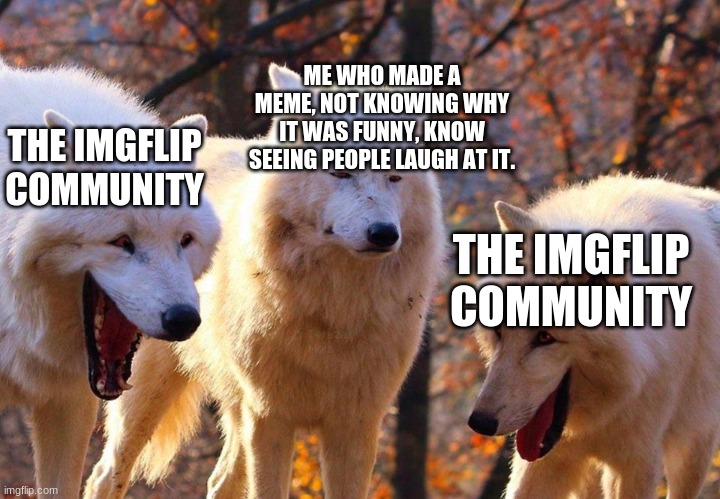 I know this isn't a gaming meme, but I had to put it under gaming because I ran out of fun submissions | ME WHO MADE A MEME, NOT KNOWING WHY IT WAS FUNNY, KNOW SEEING PEOPLE LAUGH AT IT. THE IMGFLIP COMMUNITY; THE IMGFLIP COMMUNITY | image tagged in 2/3 wolves laugh | made w/ Imgflip meme maker
