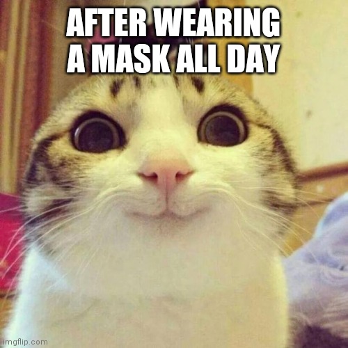 Smiling Cat Meme | AFTER WEARING A MASK ALL DAY | image tagged in memes,smiling cat | made w/ Imgflip meme maker