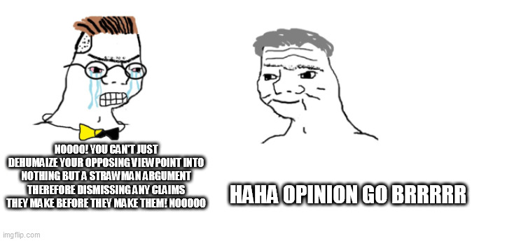 dumb and bad |  NOOOO! YOU CAN'T JUST DEHUMAIZE YOUR OPPOSING VIEWPOINT INTO NOTHING BUT A STRAWMAN ARGUMENT THEREFORE DISMISSING ANY CLAIMS THEY MAKE BEFORE THEY MAKE THEM! NOOOOO; HAHA OPINION GO BRRRRR | image tagged in nooo haha go brrr | made w/ Imgflip meme maker