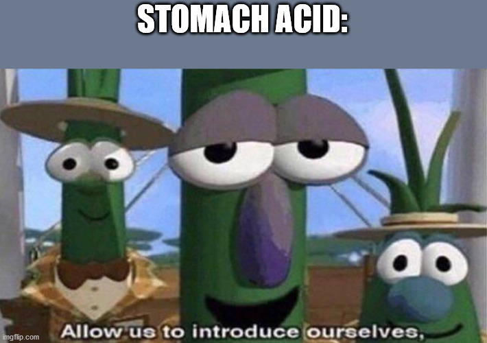 VeggieTales 'Allow us to introduce ourselfs' | STOMACH ACID: | image tagged in veggietales 'allow us to introduce ourselfs' | made w/ Imgflip meme maker