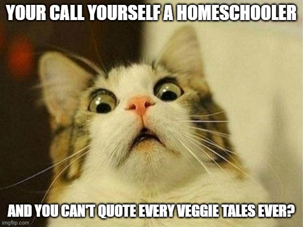 Veggie Tales | YOUR CALL YOURSELF A HOMESCHOOLER; AND YOU CAN'T QUOTE EVERY VEGGIE TALES EVER? | image tagged in memes,scared cat,homeschool,veggietales,fun | made w/ Imgflip meme maker