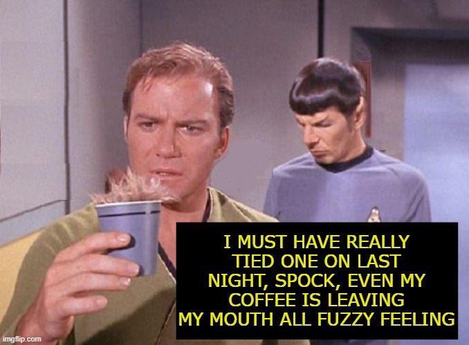 Too Much Saurian Brandy | I MUST HAVE REALLY TIED ONE ON LAST NIGHT, SPOCK, EVEN MY COFFEE IS LEAVING MY MOUTH ALL FUZZY FEELING | image tagged in star trek,memes,funny memes,funny,mxm | made w/ Imgflip meme maker