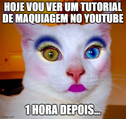 Makeup cat | HOJE VOU VER UM TUTORIAL DE MAQUIAGEM NO YOUTUBE; 1 HORA DEPOIS... | image tagged in makeup cat | made w/ Imgflip meme maker