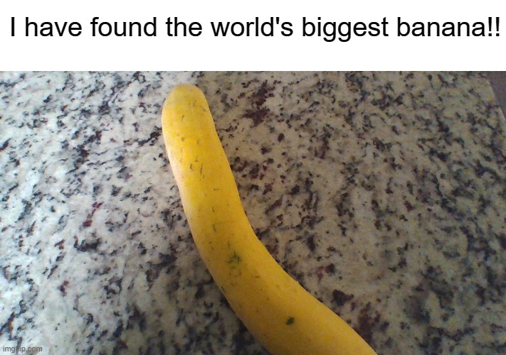 bruh | I have found the world's biggest banana!! | image tagged in banana | made w/ Imgflip meme maker