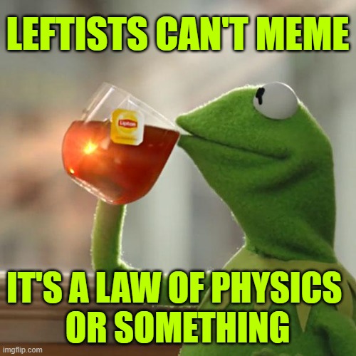 But That's None Of My Business Meme | LEFTISTS CAN'T MEME IT'S A LAW OF PHYSICS 
OR SOMETHING | image tagged in memes,but that's none of my business,kermit the frog | made w/ Imgflip meme maker