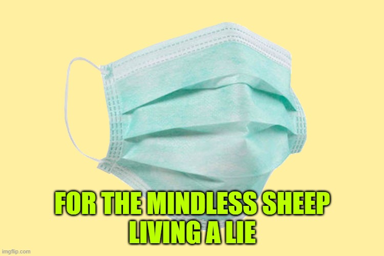 Sept 15 is mask liberation day | FOR THE MINDLESS SHEEP
LIVING A LIE | image tagged in face mask | made w/ Imgflip meme maker