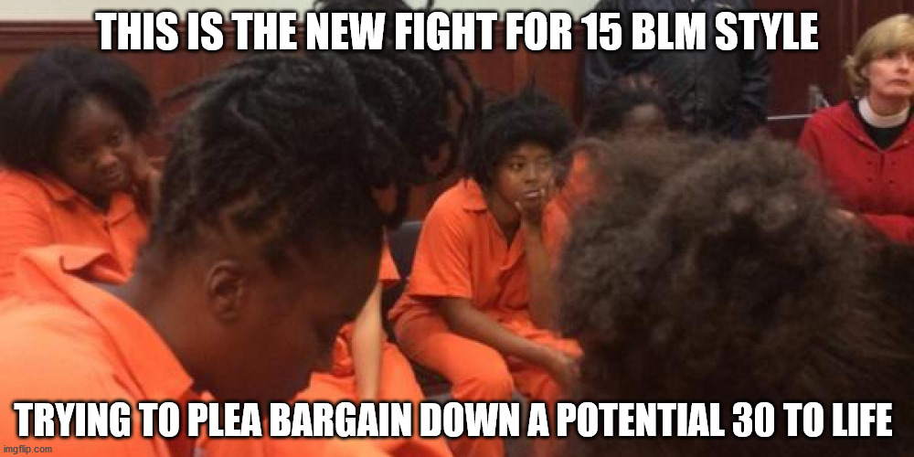 It's called let's make a deal | THIS IS THE NEW FIGHT FOR 15 BLM STYLE; TRYING TO PLEA BARGAIN DOWN A POTENTIAL 30 TO LIFE | image tagged in blm | made w/ Imgflip meme maker