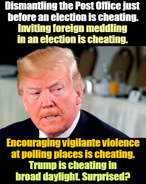 There aren't enough Trumptards for him to win fair and square. So he cheats. | Dismantling the Post Office just 
before an election is cheating. Inviting foreign meddling in an election is cheating. Encouraging vigilante violence at polling places is cheating. Trump is cheating in broad daylight. Surprised? | image tagged in trump lip curl as his world goes to shit,trump,cheat,dishonest,illegal,dirty | made w/ Imgflip meme maker