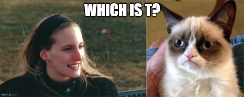 T Time | WHICH IS T? | image tagged in grumpycat | made w/ Imgflip meme maker