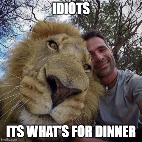 idiots it's whats for dinner | IDIOTS; ITS WHAT'S FOR DINNER | image tagged in stupidi animall tricks | made w/ Imgflip meme maker