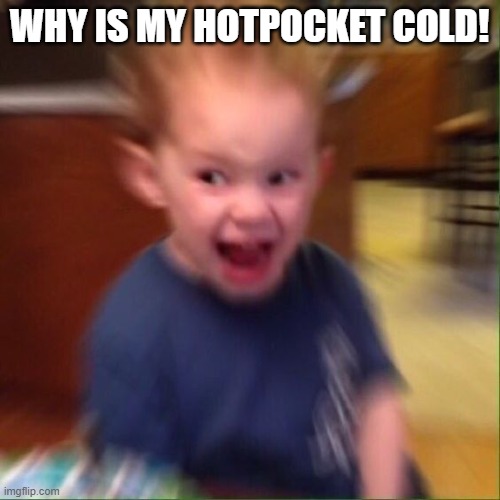 Kid Screaming | WHY IS MY HOTPOCKET COLD! | image tagged in kid screaming | made w/ Imgflip meme maker