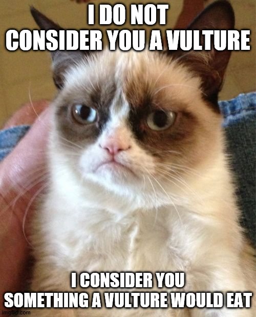 Grumpy cat insult | I DO NOT CONSIDER YOU A VULTURE; I CONSIDER YOU SOMETHING A VULTURE WOULD EAT | image tagged in memes,grumpy cat | made w/ Imgflip meme maker