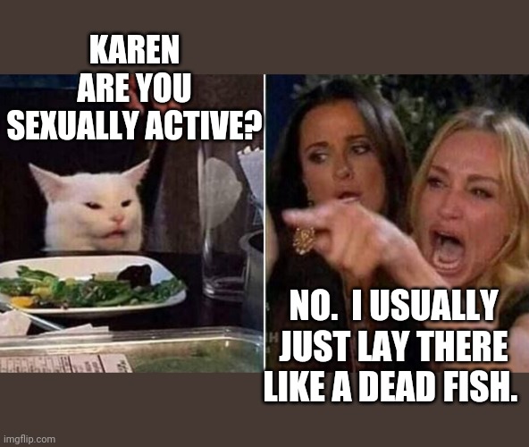 Reverse Smudge and Karen | KAREN ARE YOU SEXUALLY ACTIVE? NO.  I USUALLY JUST LAY THERE LIKE A DEAD FISH. | image tagged in reverse smudge and karen | made w/ Imgflip meme maker