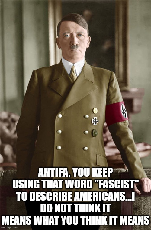 Stop calling Patriots NAZI's you half stupid hypocrites | ANTIFA, YOU KEEP USING THAT WORD "FASCIST" TO DESCRIBE AMERICANS...I DO NOT THINK IT MEANS WHAT YOU THINK IT MEANS | image tagged in antifa,hitler,fascist,hypocrisy | made w/ Imgflip meme maker