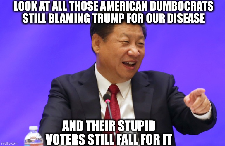 Because Democrats only care about winning. | LOOK AT ALL THOSE AMERICAN DUMBOCRATS STILL BLAMING TRUMP FOR OUR DISEASE; AND THEIR STUPID VOTERS STILL FALL FOR IT | image tagged in democrats,covid-19,coronavirus,joe biden,nancy pelosi,andrew cuomo | made w/ Imgflip meme maker