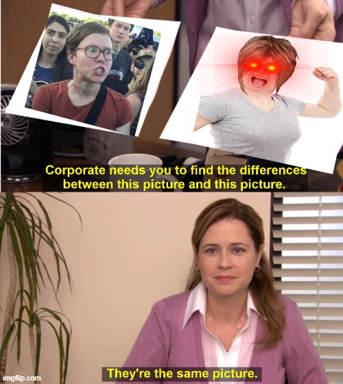 They're The Same Picture | image tagged in memes,they're the same picture | made w/ Imgflip meme maker