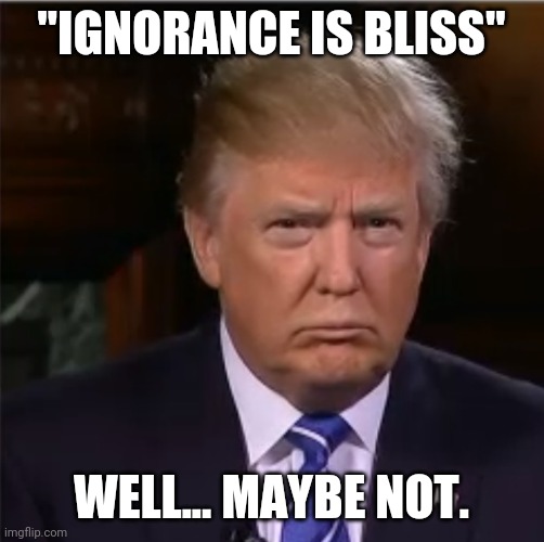 If this is bliss, I'll go with something else. | "IGNORANCE IS BLISS"; WELL... MAYBE NOT. | image tagged in donald trump sulk,ignorance | made w/ Imgflip meme maker
