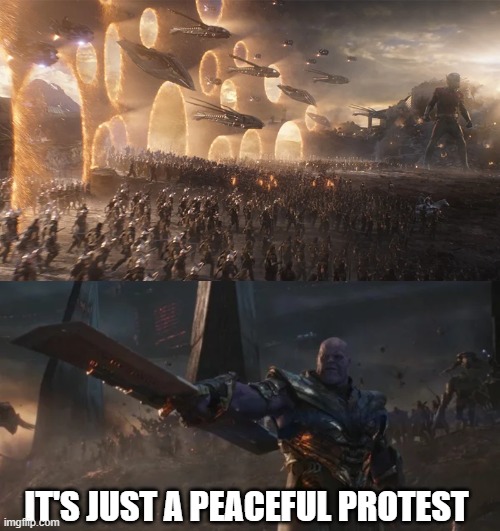 avengers endgame final battle against thanos | IT'S JUST A PEACEFUL PROTEST | image tagged in avengers endgame final battle against thanos,protest | made w/ Imgflip meme maker