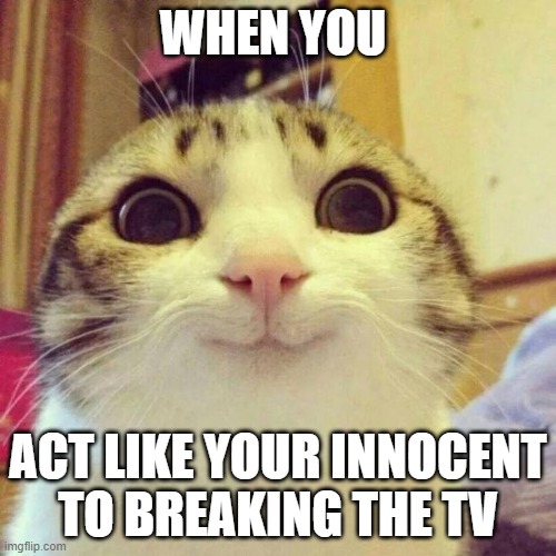 Smiling Cat Meme | WHEN YOU; ACT LIKE YOUR INNOCENT
TO BREAKING THE TV | image tagged in memes,smiling cat | made w/ Imgflip meme maker