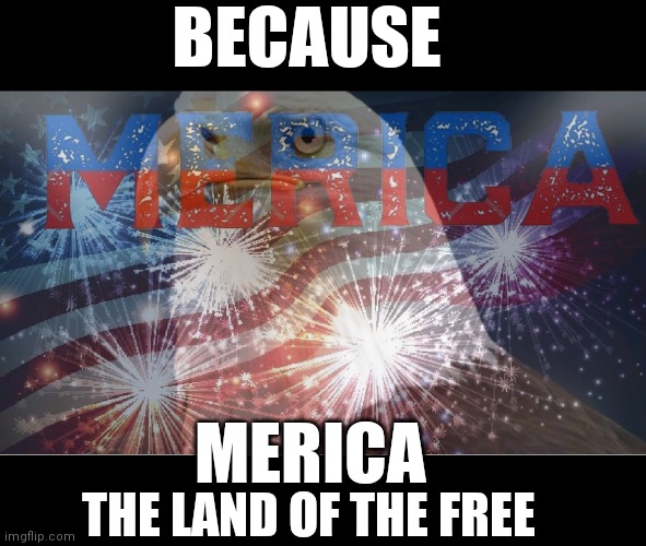 MERICA | BECAUSE; MERICA; THE LAND OF THE FREE | image tagged in american flag,merica | made w/ Imgflip meme maker