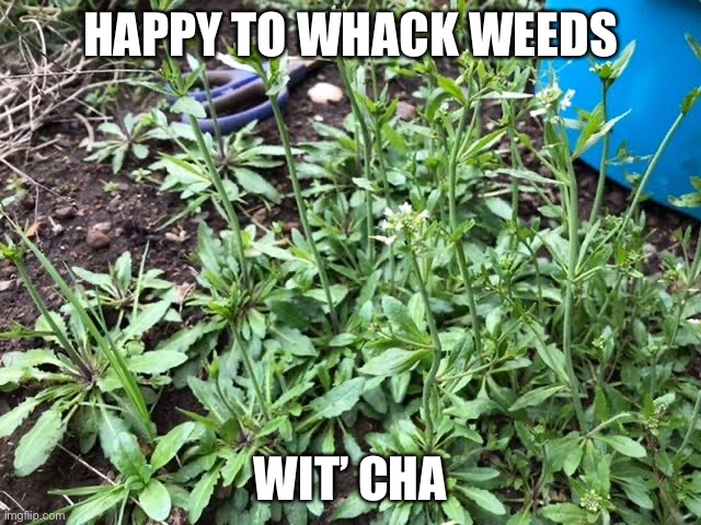 HAPPY TO WHACK WEEDS WIT’ CHA | made w/ Imgflip meme maker