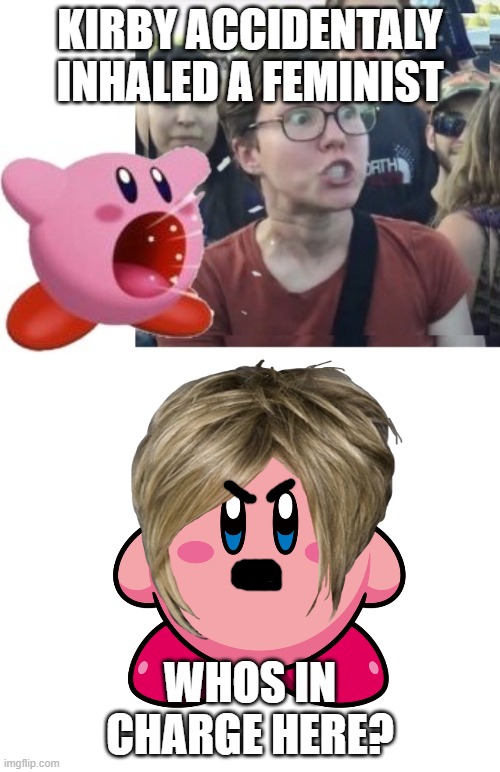 KIRBY ACCIDENTALY INHALED A FEMINIST; WHOS IN CHARGE HERE? | made w/ Imgflip meme maker