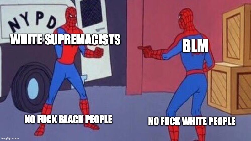 No, fuck racist politics | BLM; WHITE SUPREMACISTS; NO FUCK BLACK PEOPLE; NO FUCK WHITE PEOPLE | image tagged in spiderman pointing at spiderman | made w/ Imgflip meme maker