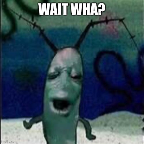 Plankton gets served | WAIT WHA? | image tagged in plankton gets served | made w/ Imgflip meme maker