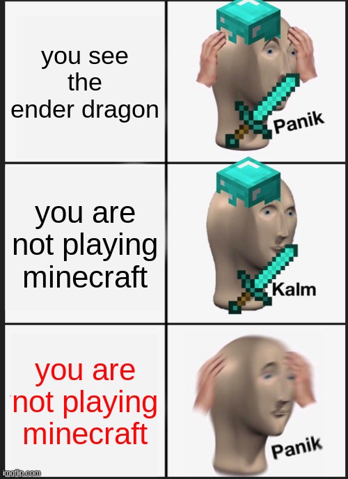 Panik Kalm Panik Meme | you see the ender dragon; you are not playing minecraft; you are not playing minecraft | image tagged in memes,panik kalm panik | made w/ Imgflip meme maker