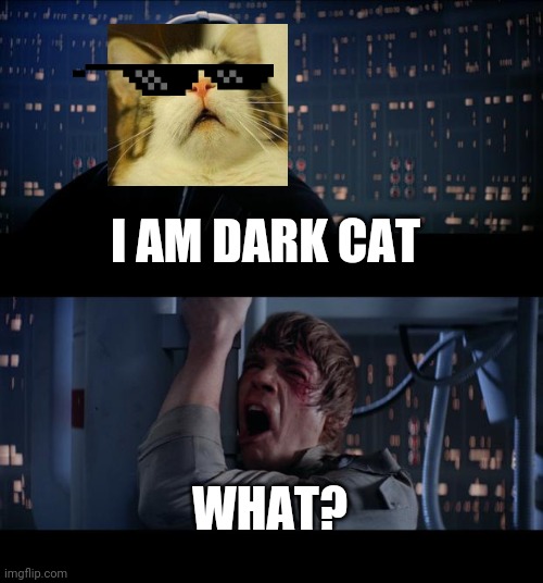 Star Wars No Meme | I AM DARK CAT; WHAT? | image tagged in memes,star wars no | made w/ Imgflip meme maker
