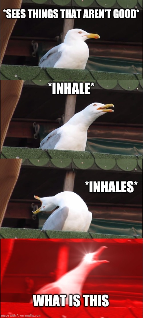 Outraged seagull | *SEES THINGS THAT AREN'T GOOD*; *INHALE*; *INHALES*; WHAT IS THIS | image tagged in memes,inhaling seagull | made w/ Imgflip meme maker