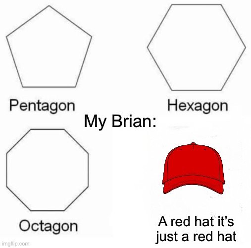 Pentagon Hexagon Octagon | My Brian:; A red hat it’s just a red hat | image tagged in memes,pentagon hexagon octagon | made w/ Imgflip meme maker