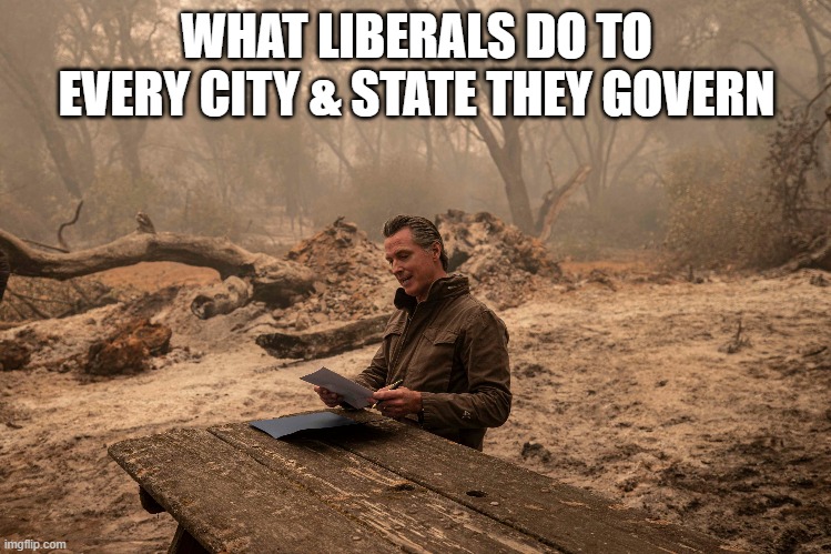 Liberalism is A Cancer | WHAT LIBERALS DO TO EVERY CITY & STATE THEY GOVERN | image tagged in gavin newsom,failed states,democrats | made w/ Imgflip meme maker