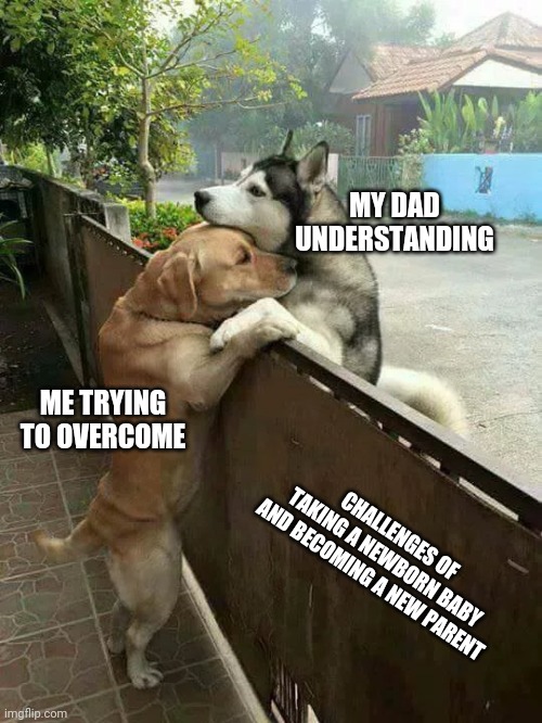 Wholesome doggo | MY DAD UNDERSTANDING; ME TRYING TO OVERCOME; CHALLENGES OF TAKING A NEWBORN BABY AND BECOMING A NEW PARENT | image tagged in wholesome | made w/ Imgflip meme maker