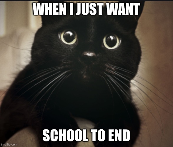 Is it summer yet? | WHEN I JUST WANT; SCHOOL TO END | image tagged in cute cats | made w/ Imgflip meme maker