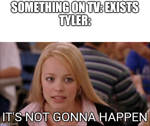 We don't believe what's on tv | SOMETHING ON TV: EXISTS
TYLER:; IT'S NOT GONNA HAPPEN | image tagged in memes,its not going to happen | made w/ Imgflip meme maker