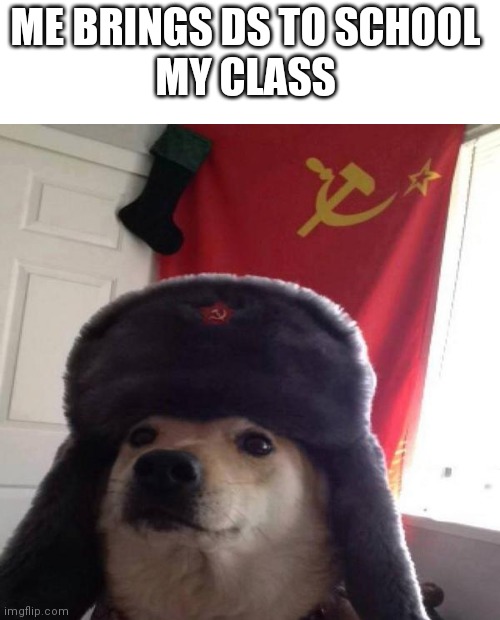 Russian Doge | ME BRINGS DS TO SCHOOL 
MY CLASS | image tagged in russian doge | made w/ Imgflip meme maker