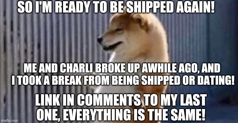 Ship me! Link in comments to last shipping img. | SO I'M READY TO BE SHIPPED AGAIN! ME AND CHARLI BROKE UP AWHILE AGO, AND  I TOOK A BREAK FROM BEING SHIPPED OR DATING! LINK IN COMMENTS TO MY LAST ONE, EVERYTHING IS THE SAME! | image tagged in ship,relationship | made w/ Imgflip meme maker