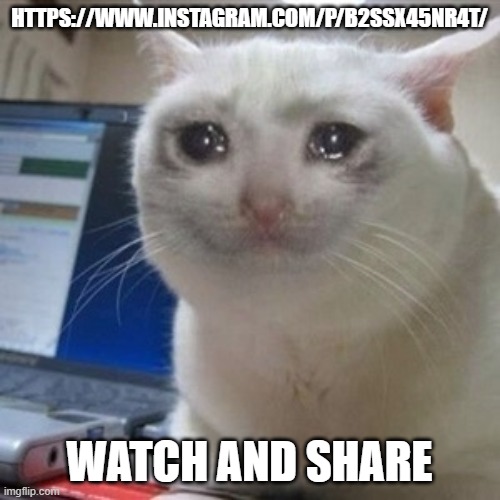 Crying cat | HTTPS://WWW.INSTAGRAM.COM/P/B2SSX45NR4T/; WATCH AND SHARE | image tagged in crying cat | made w/ Imgflip meme maker