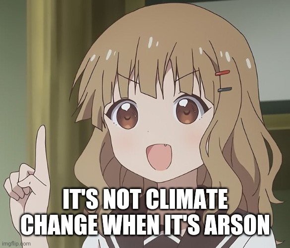 The person above me | IT'S NOT CLIMATE CHANGE WHEN IT'S ARSON | image tagged in the person above me | made w/ Imgflip meme maker