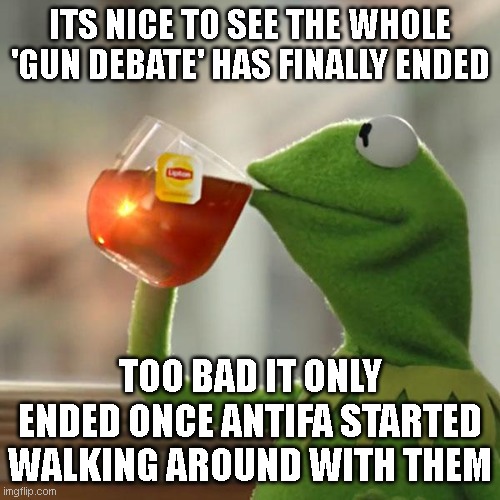 But That's None Of My Business | ITS NICE TO SEE THE WHOLE 'GUN DEBATE' HAS FINALLY ENDED; TOO BAD IT ONLY ENDED ONCE ANTIFA STARTED WALKING AROUND WITH THEM | image tagged in memes,but that's none of my business,kermit the frog | made w/ Imgflip meme maker