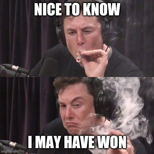 Elon Musk Weed | NICE TO KNOW I MAY HAVE WON | image tagged in elon musk weed | made w/ Imgflip meme maker