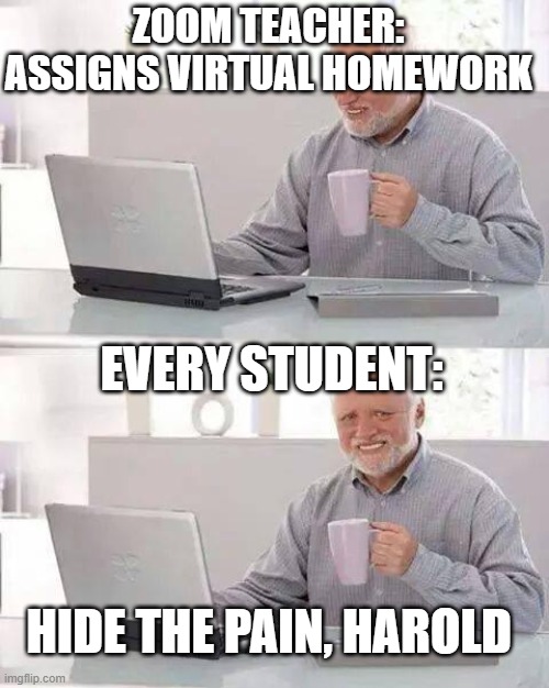 Hide the Pain Harold | ZOOM TEACHER: ASSIGNS VIRTUAL HOMEWORK; EVERY STUDENT:; HIDE THE PAIN, HAROLD | image tagged in memes,hide the pain harold | made w/ Imgflip meme maker
