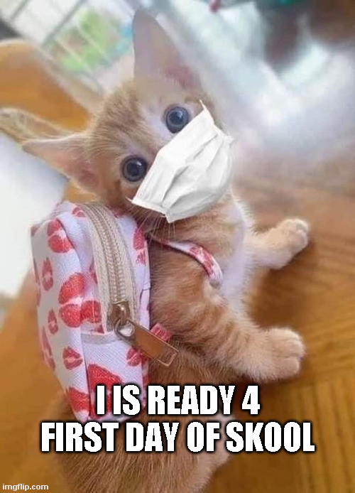 Intrepid Kitten! | I IS READY 4 FIRST DAY OF SKOOL | image tagged in kitten,cute | made w/ Imgflip meme maker