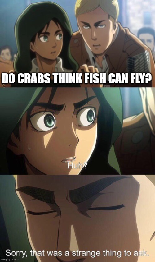 Perspective is everything | DO CRABS THINK FISH CAN FLY? | image tagged in that was a strange thing to ask | made w/ Imgflip meme maker