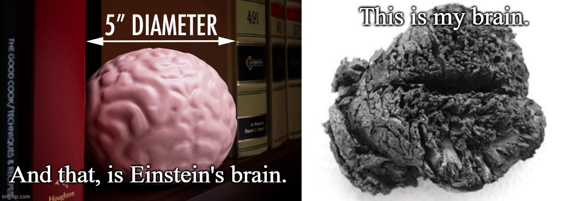 Big Brain Time | This is my brain. And that, is Einstein's brain. | image tagged in memes,einstein | made w/ Imgflip meme maker