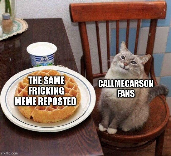 Pancake Cat | CALLMECARSON FANS; THE SAME FRICKING MEME REPOSTED | image tagged in pancake cat,memes,callmecarson | made w/ Imgflip meme maker