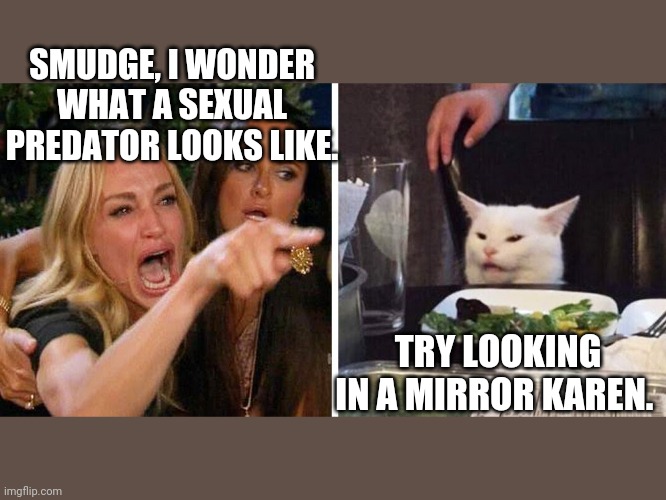 Smudge the cat | SMUDGE, I WONDER WHAT A SEXUAL PREDATOR LOOKS LIKE. TRY LOOKING IN A MIRROR KAREN. | image tagged in smudge the cat | made w/ Imgflip meme maker